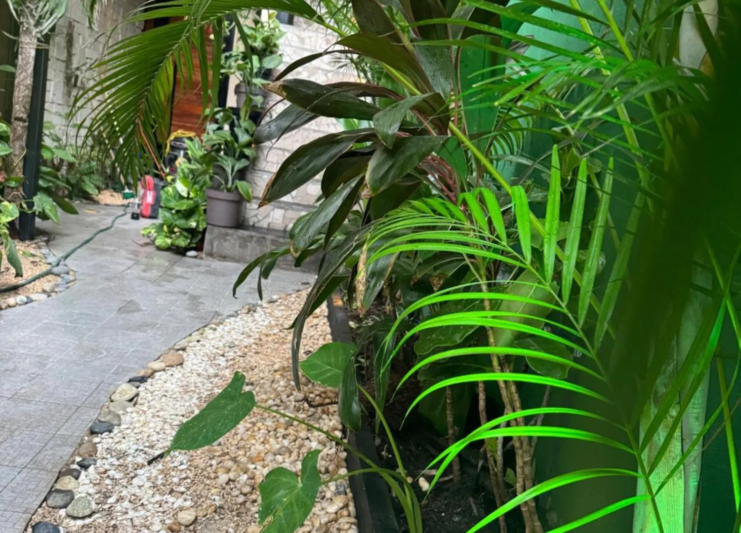 Suite Jr 1Habitacion Tulum Apartment